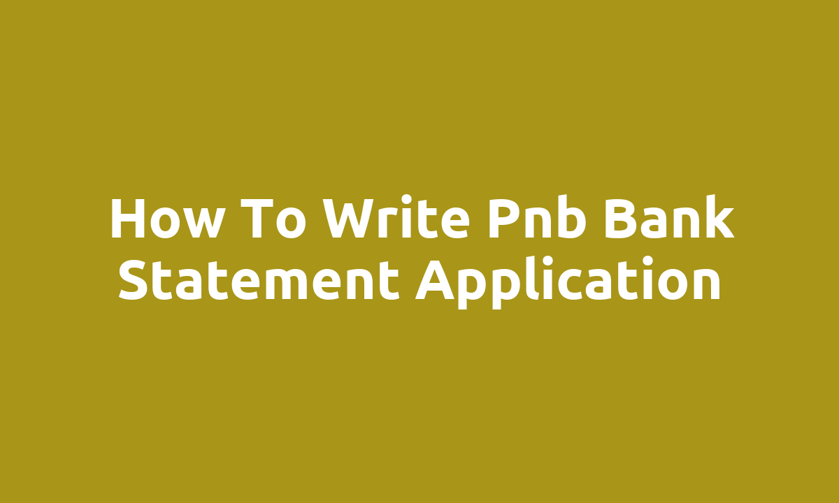 How to write pnb bank statement application