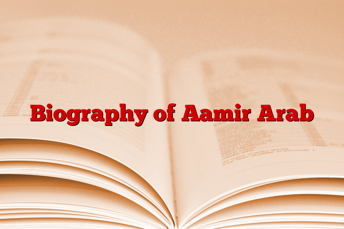 Biography of Aamir Arab