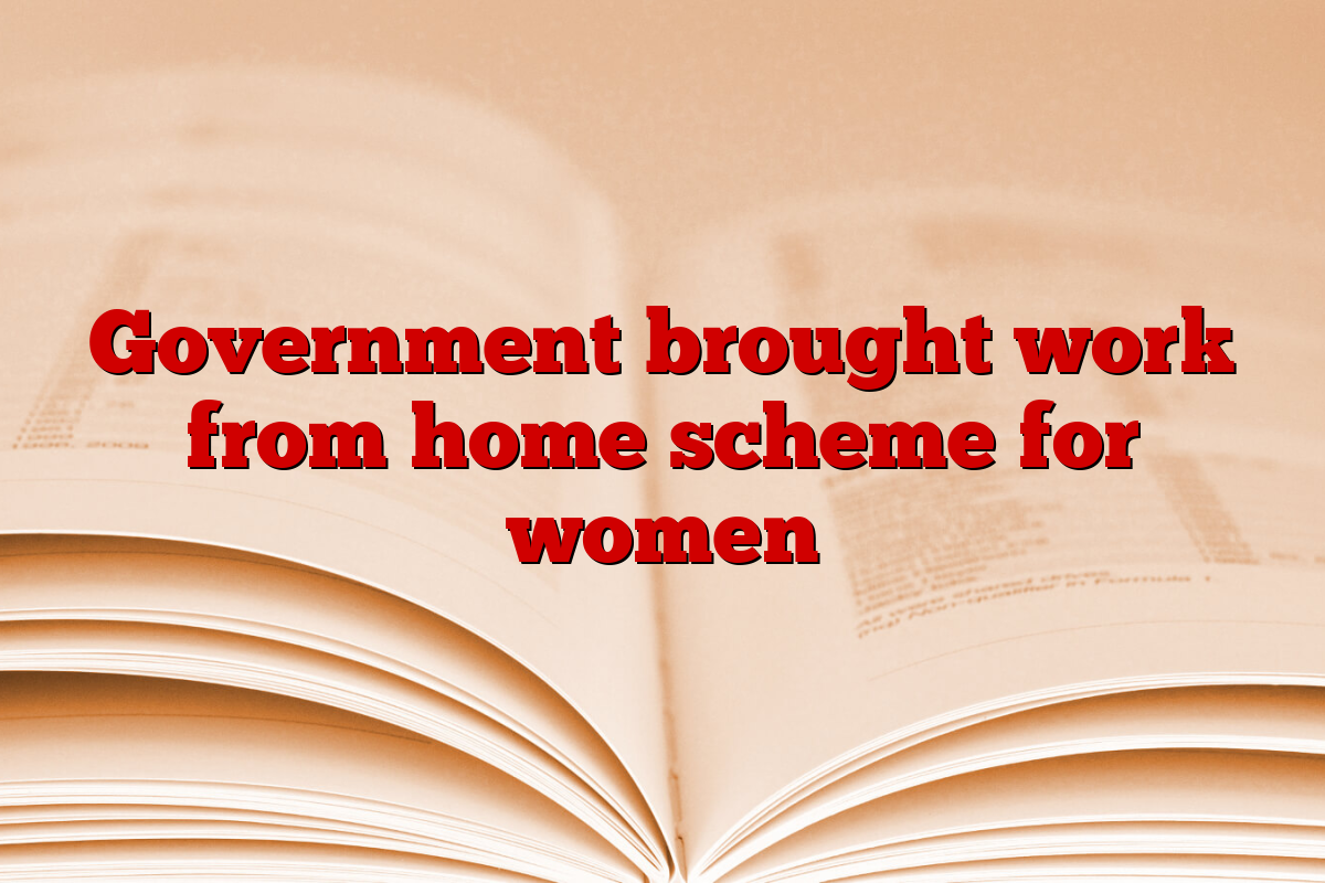 Government brought work from home scheme for women