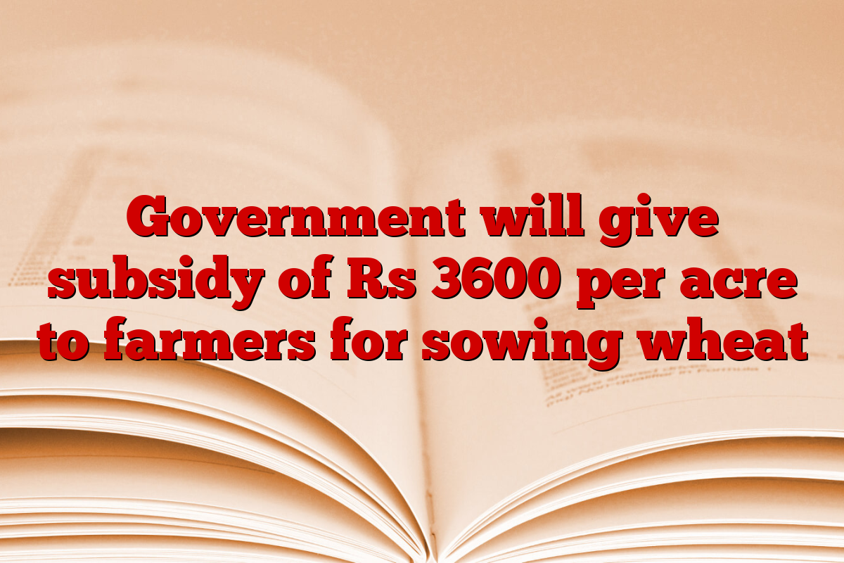 Government will give subsidy of Rs 3600 per acre to farmers for sowing wheat