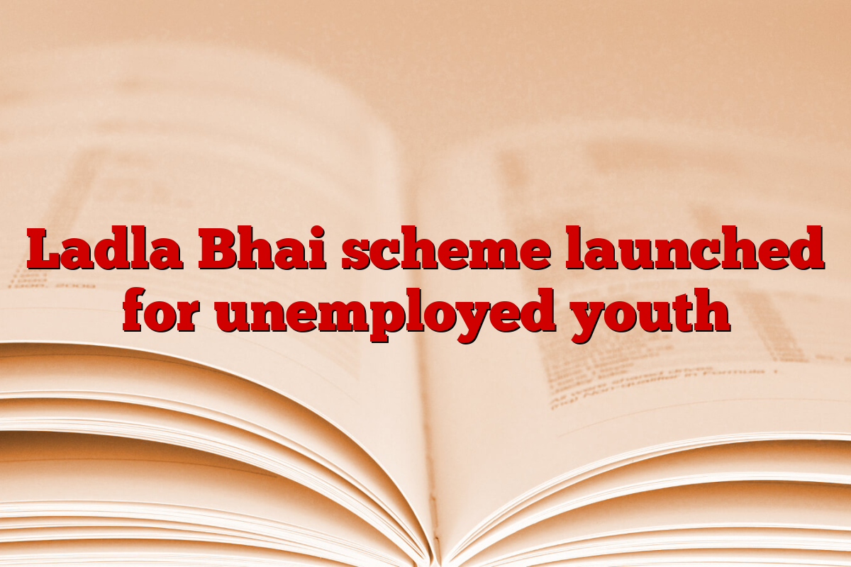 Ladla Bhai scheme launched for unemployed youth