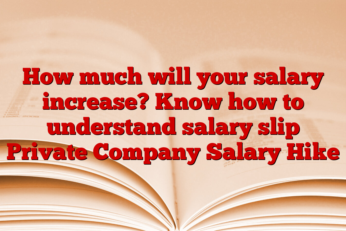 How much will your salary increase? Know how to understand salary slip Private Company Salary Hike